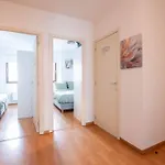 Cosy In The Centre Apartament *